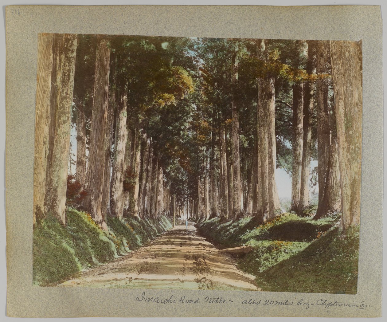 Imaichi Road, Nikko, Japonsko (ručně kolorovaná černobílá fotografie) od Japanese Photographer