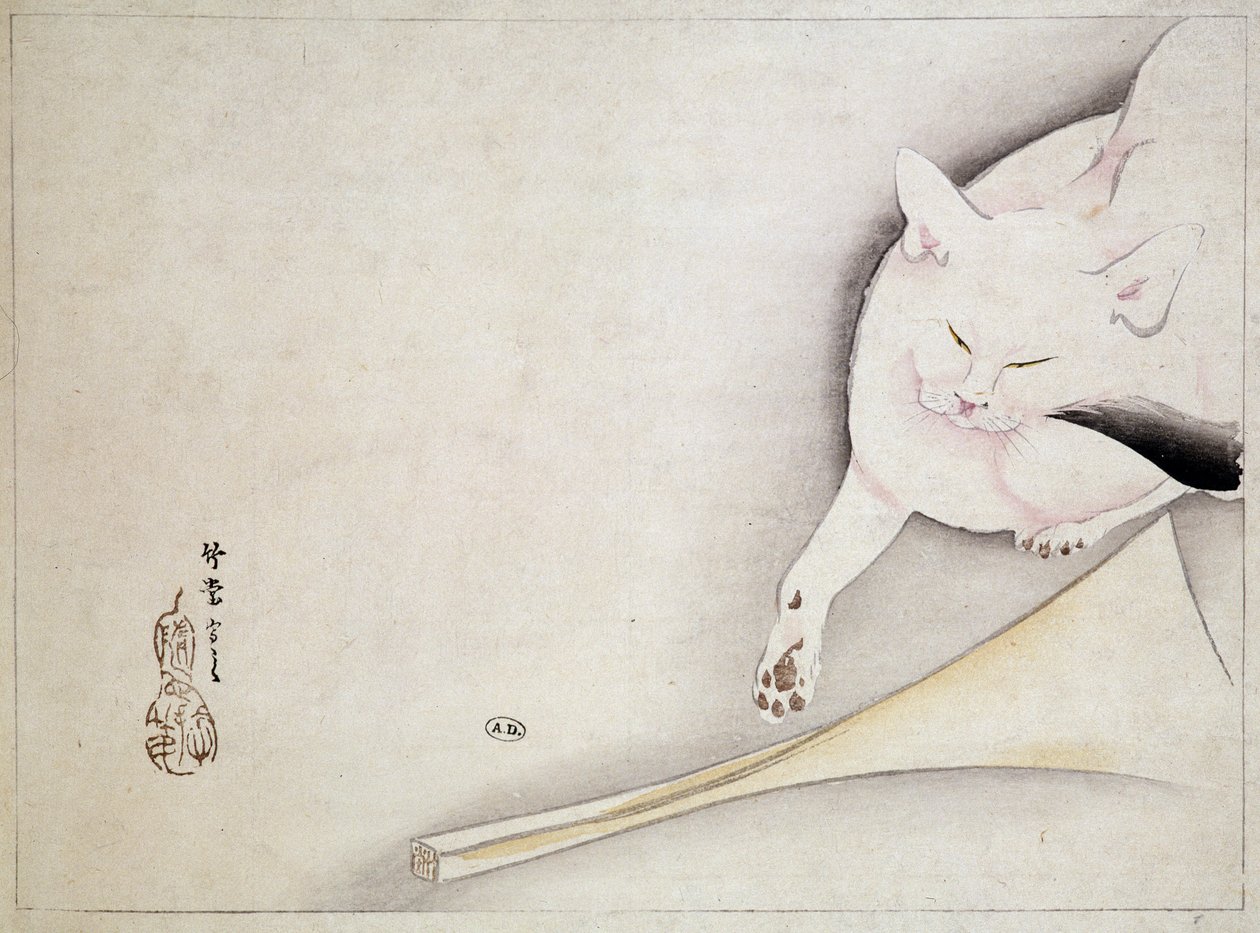 Kočka, japonská kresba, n.d. 19. století. od Japanese School