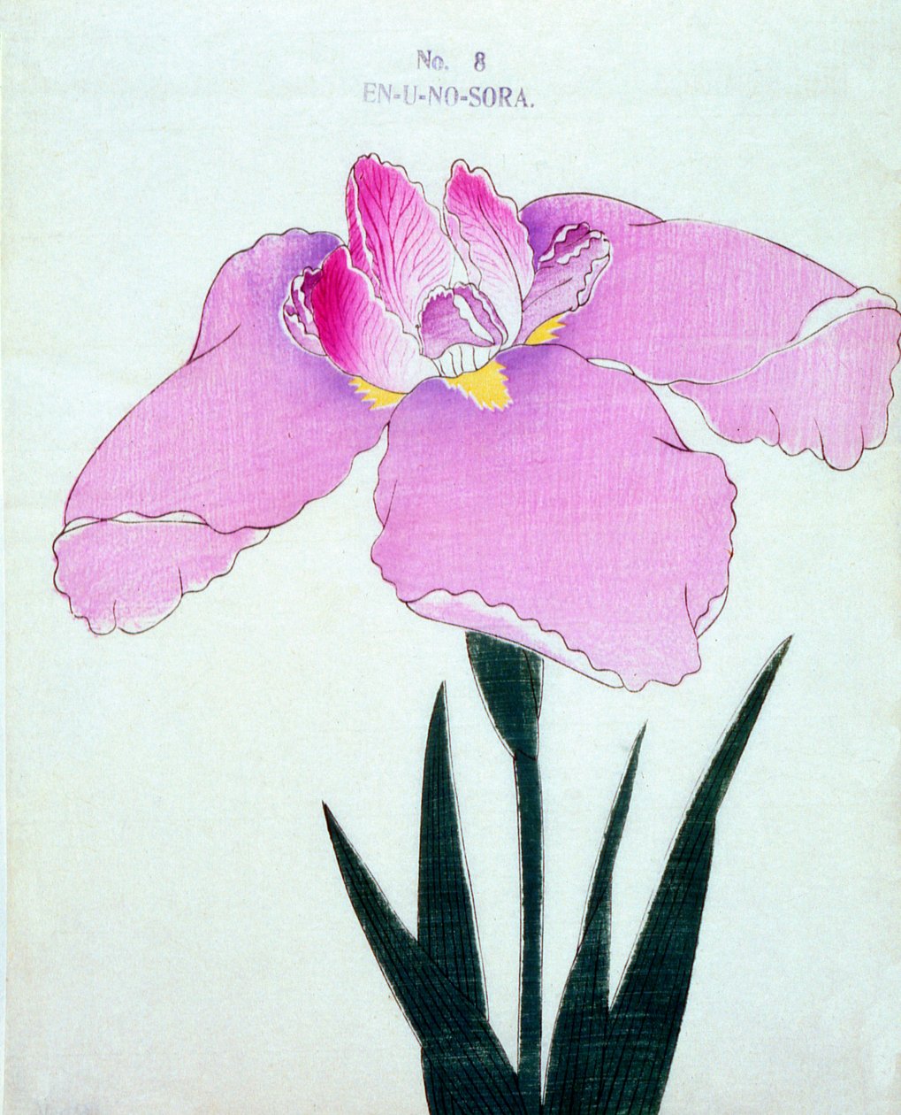 Enuno. -Sora, z. 8, 1898 od Japanese School