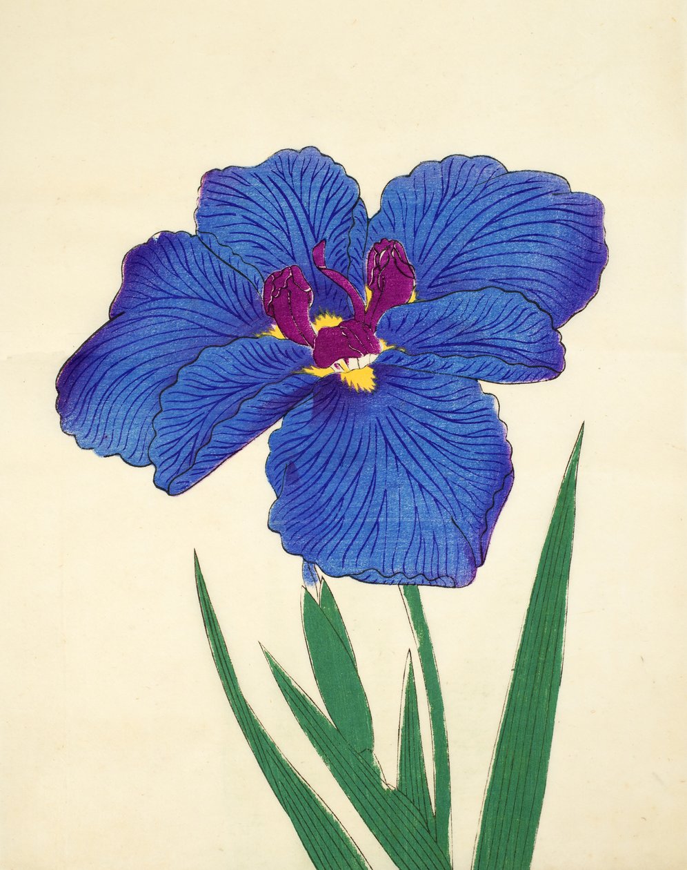 Jsou to drby. -Moje, z. 9, 1898 od Japanese School
