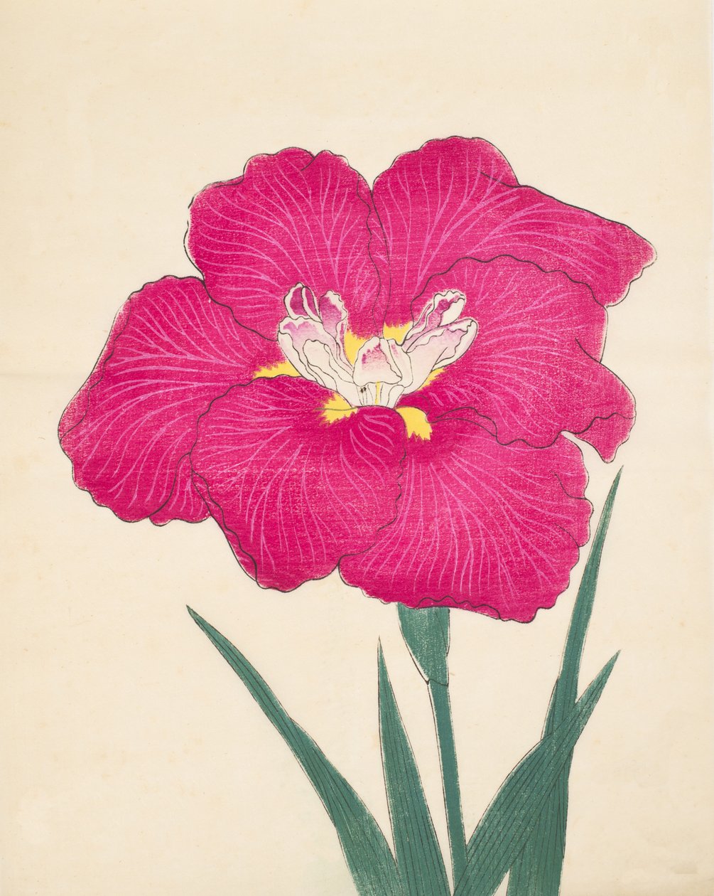 Kagari-Bi, No. 38, 1890 od Japanese School