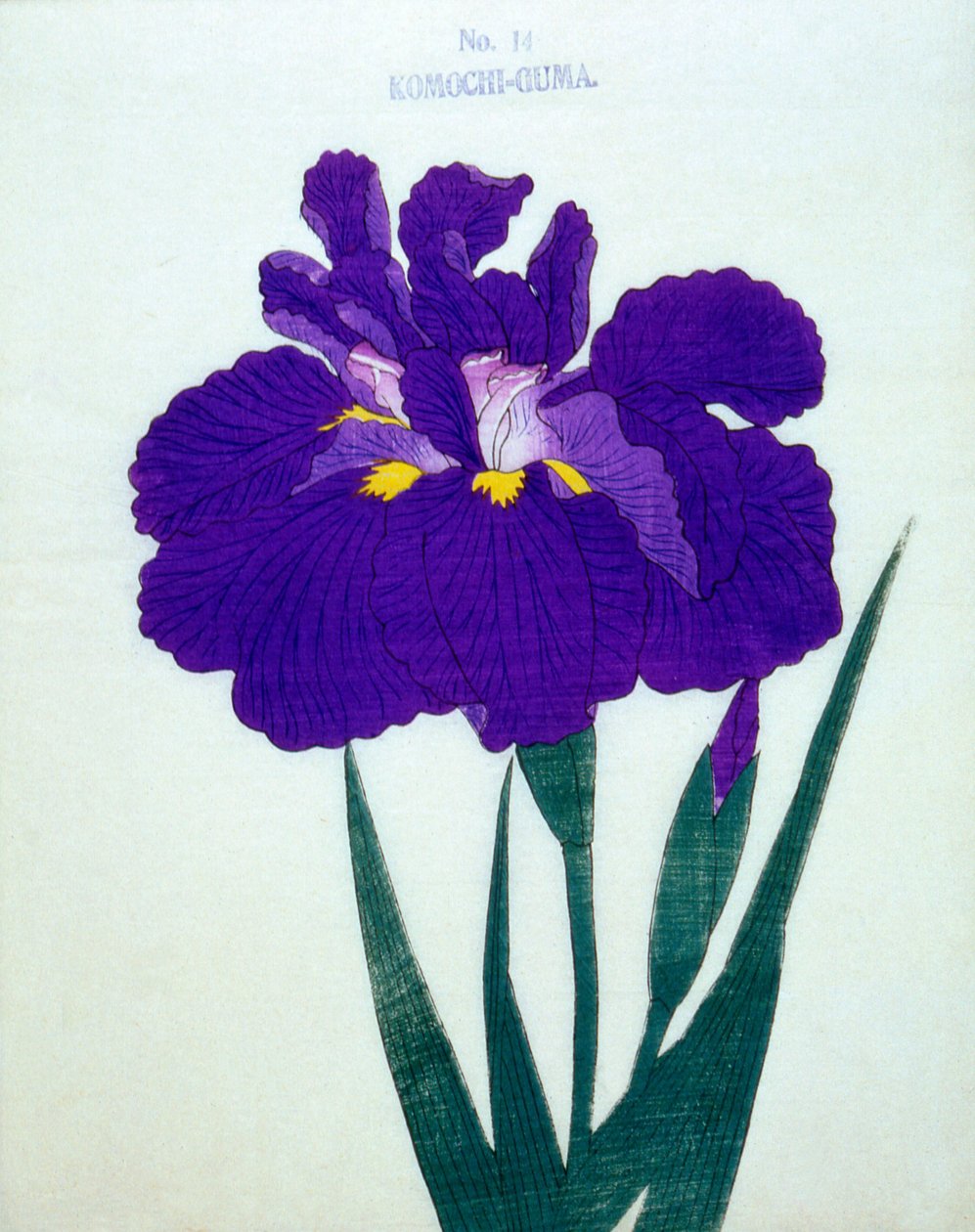 Medvěd, který nese dítě. 14, 1898 od Japanese School