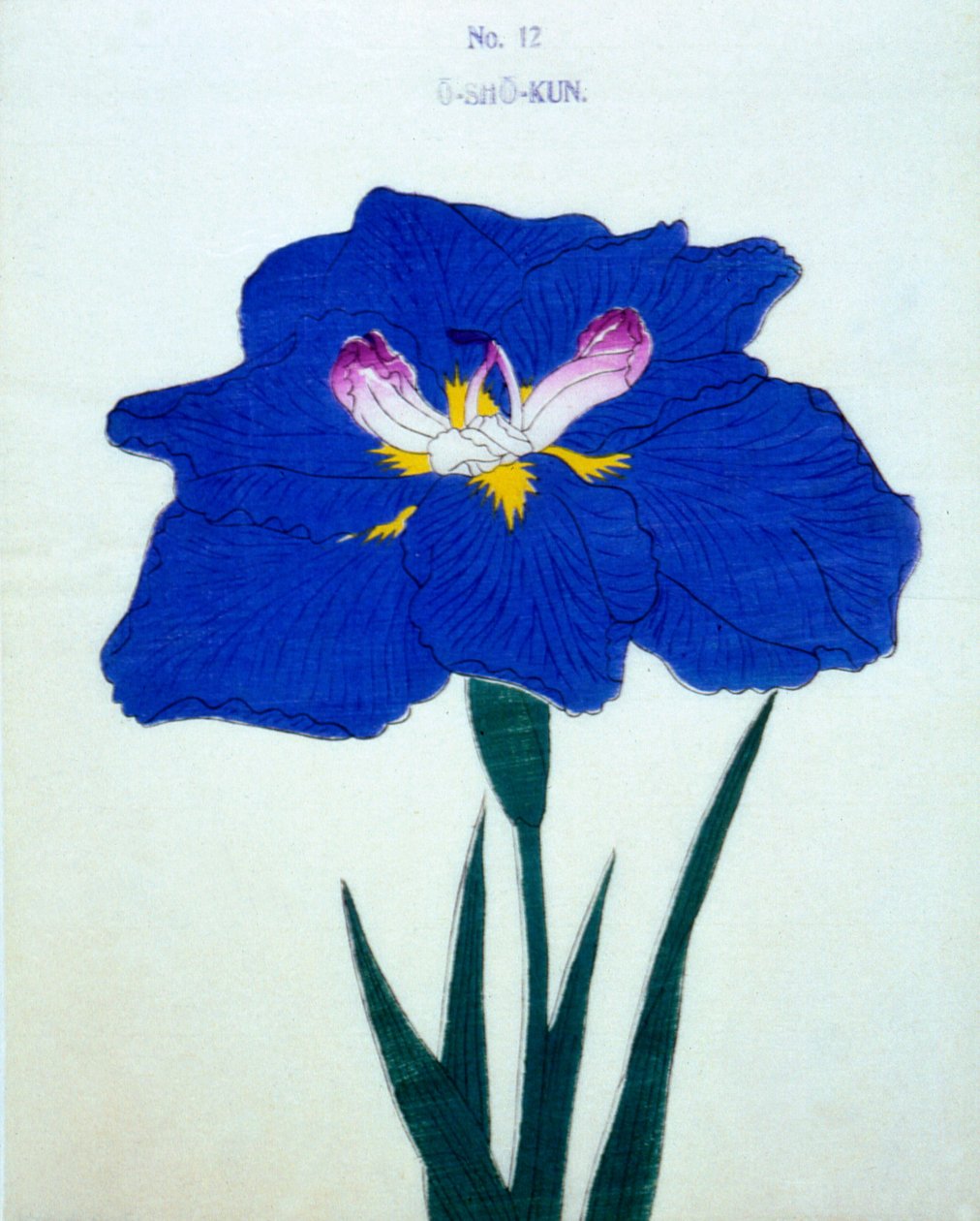 Osho-kun. 12, 1898 od Japanese School