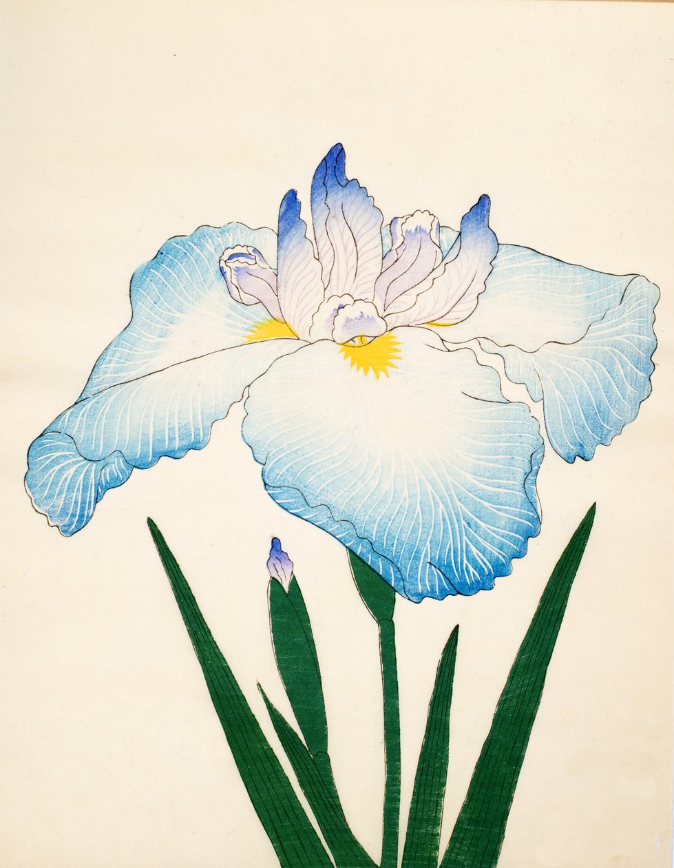 Sazanami, No. 68, 1890 od Japanese School