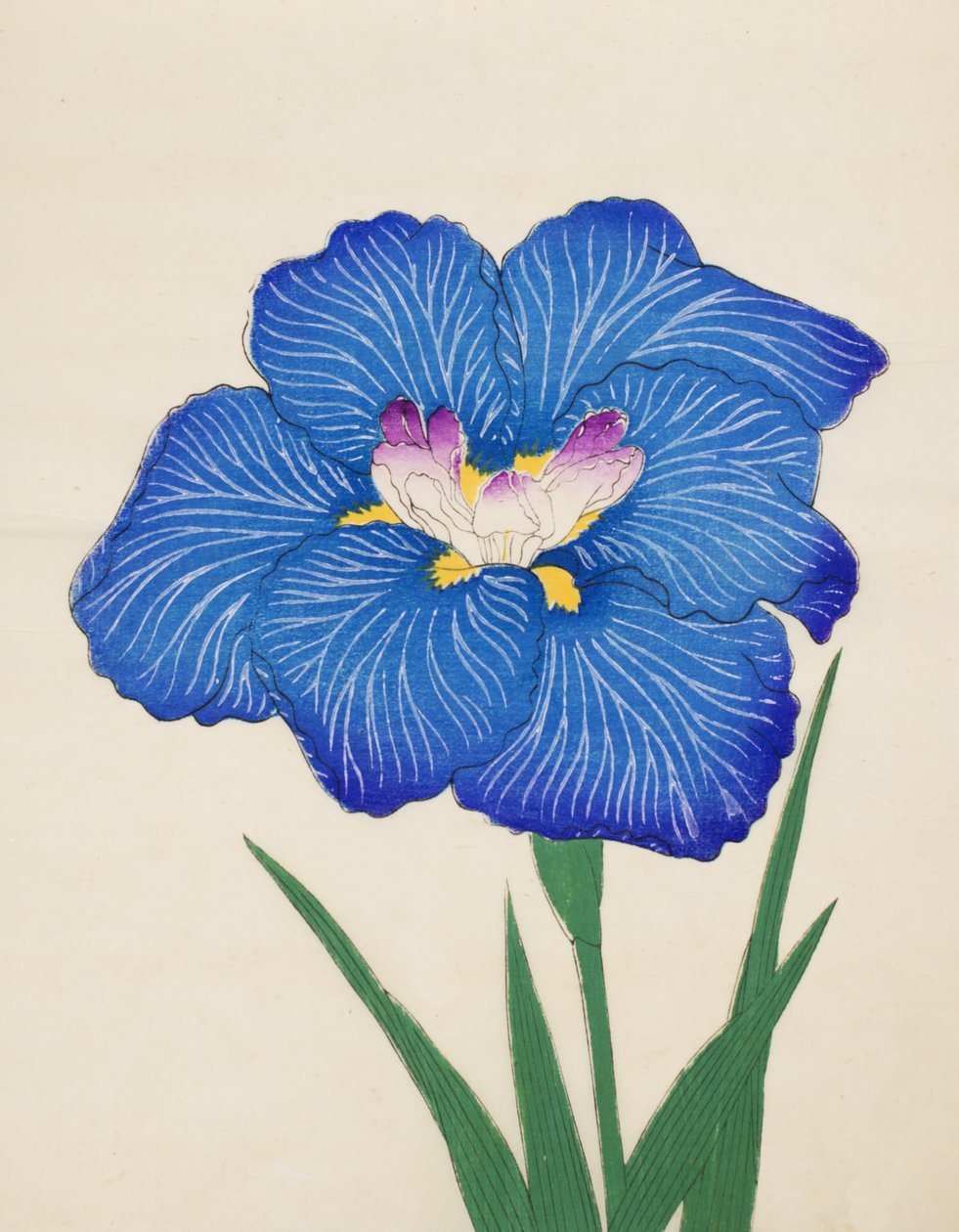 Kráva Ono. -Kouř. 47, 1898 od Japanese School