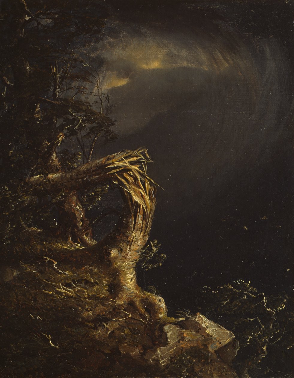 Odstřelený strom, 1850. od Jasper Francis Cropsey
