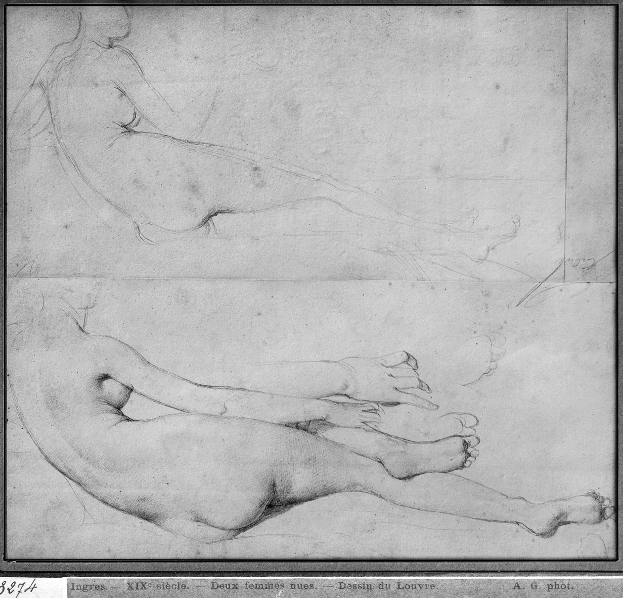 Studie pro The Grande Odalisque (grafit na papíře) (viz také 233243) od Jean Auguste Dominique Ingres