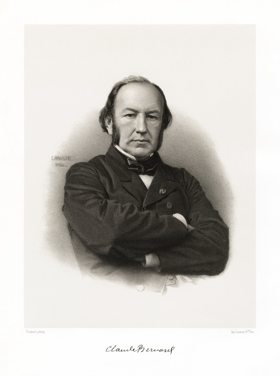 Claude Bernard od Jean Baptiste Adolphe Lafosse