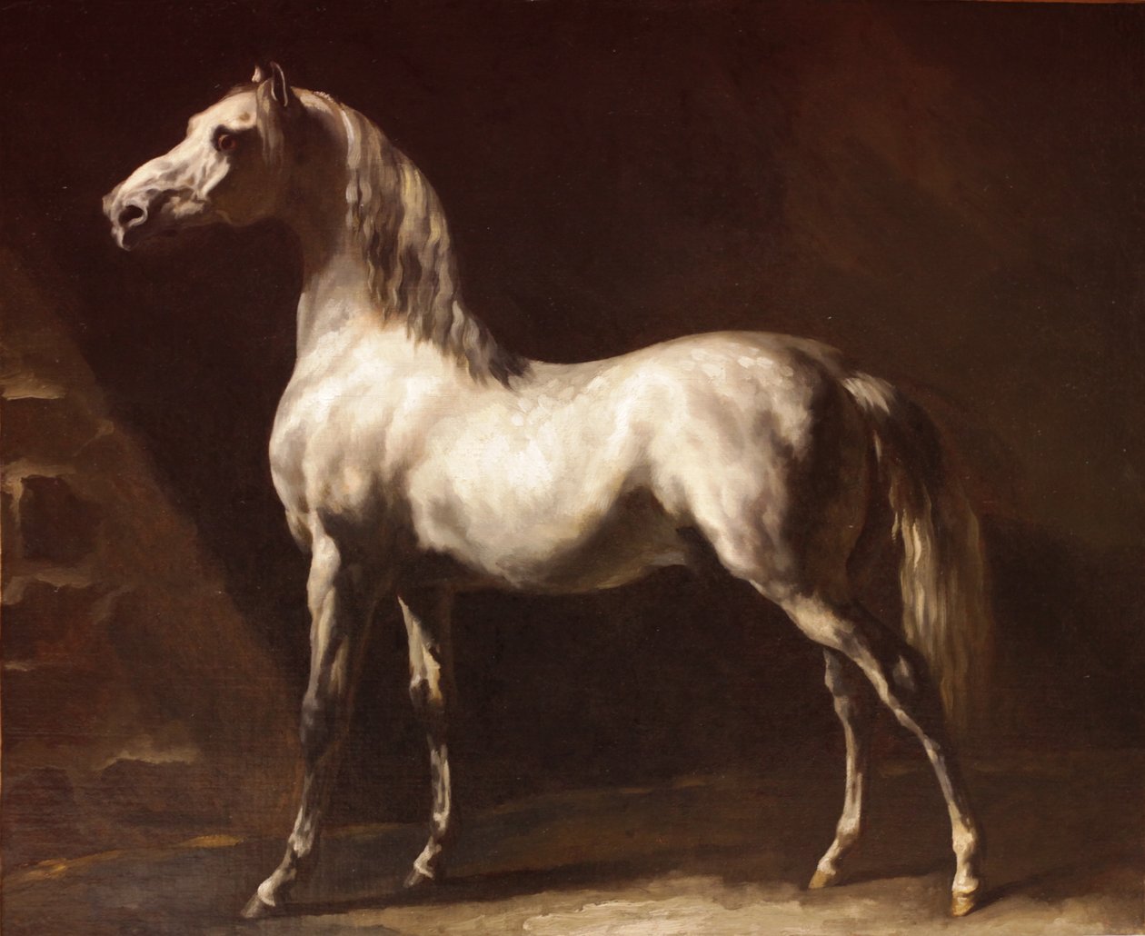 Šedobílý arabský kůň od Theodore Gericault