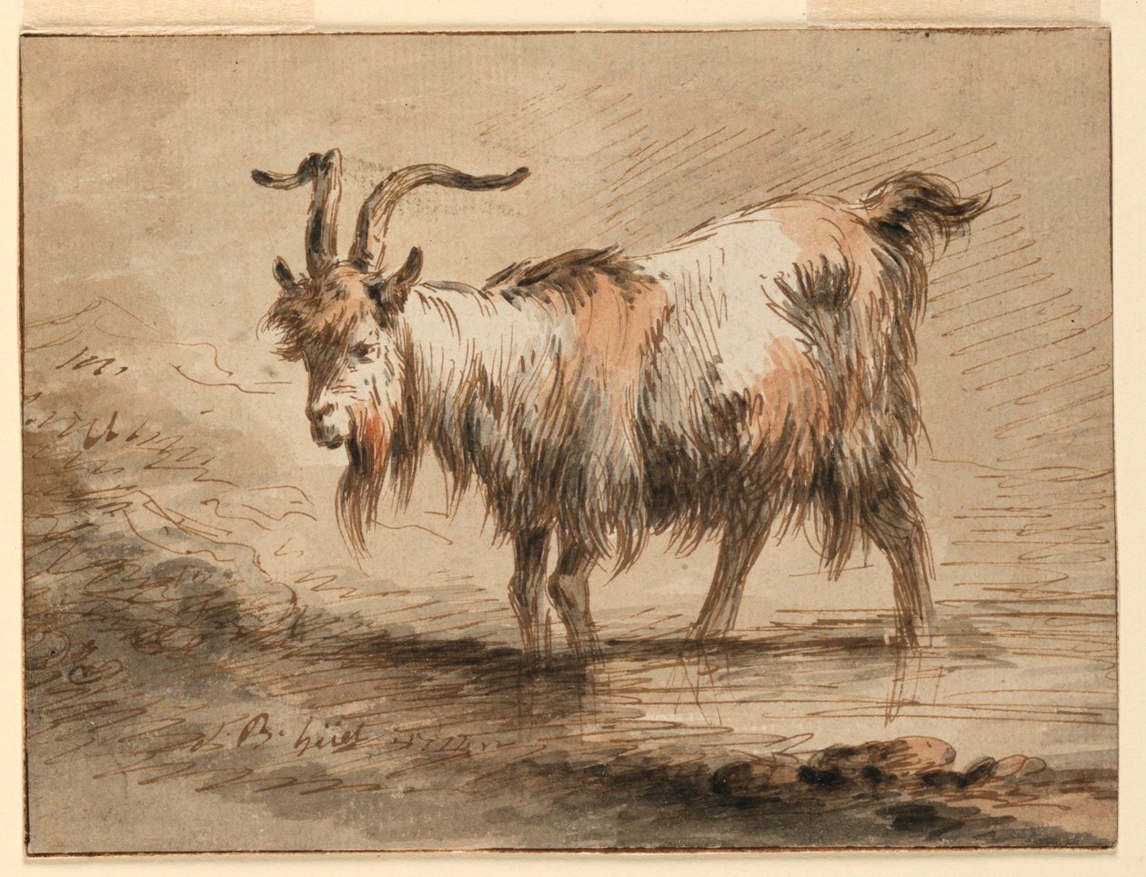 Kresba, Studie kozy, 1772 od Jean Baptiste Huet
