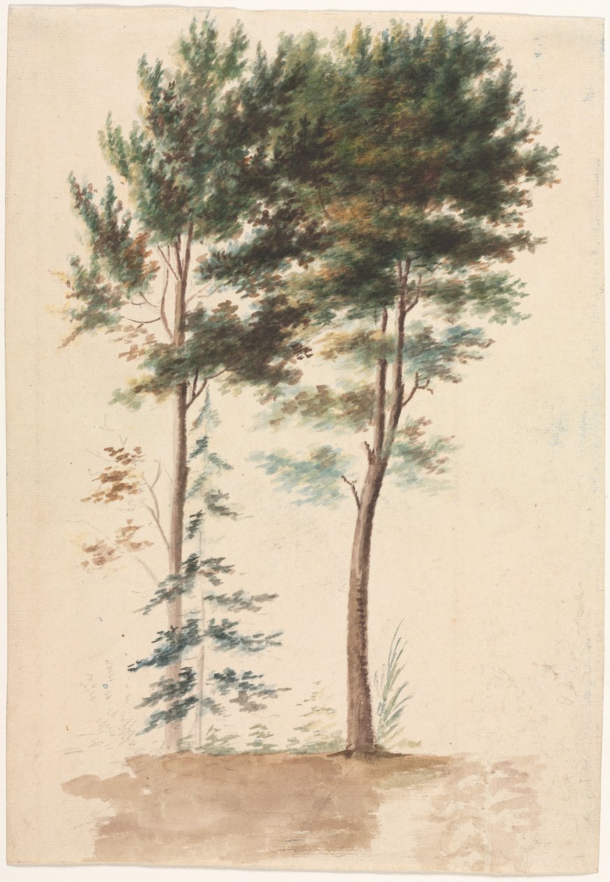 Stromy, 17. století. od Jean Baptiste Pillement