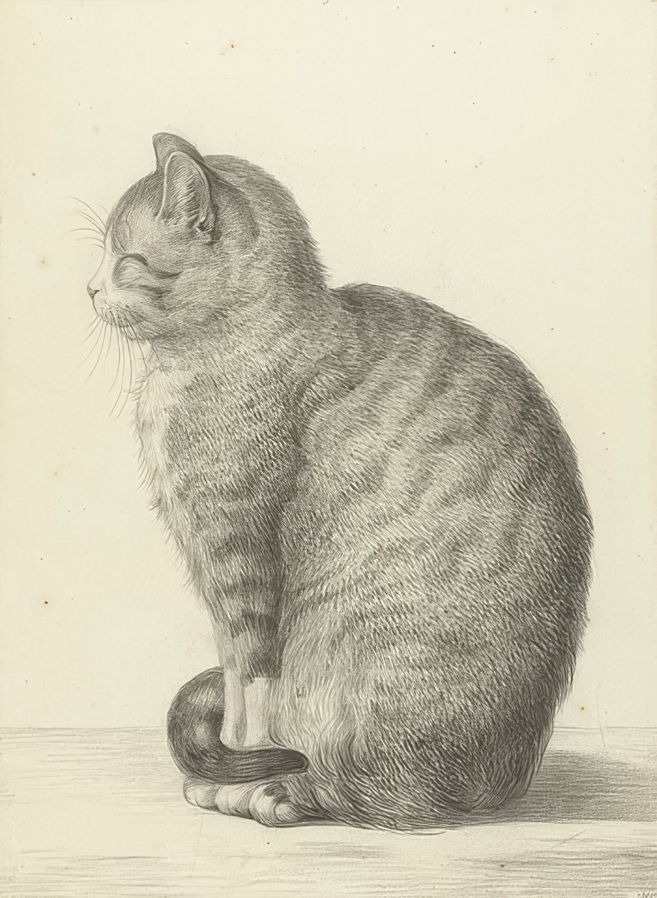 Sedící kočka, vlevo. 1815 od Jean Bernard