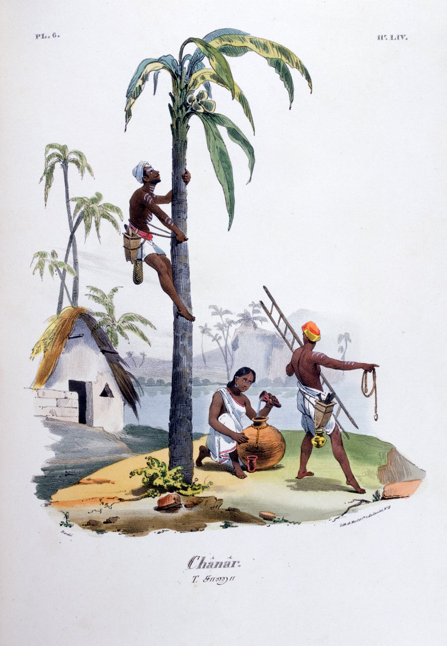 Chanar, 1828 od Jean Henri Marlet