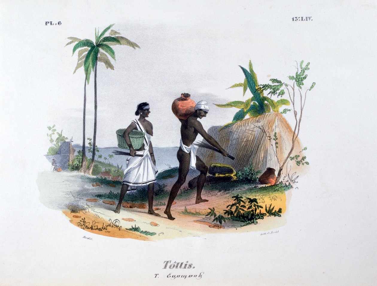 Tottis, 1828 od Jean Henri Marlet