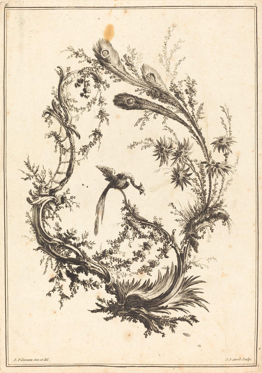 Ornament s pávem. od Jean Jacques Avril