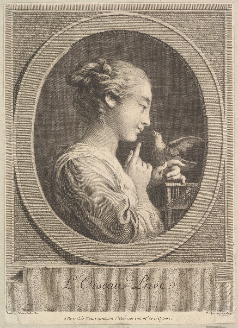 Zkrocený pták, ca. 1769. od Jean Jacques Flipart