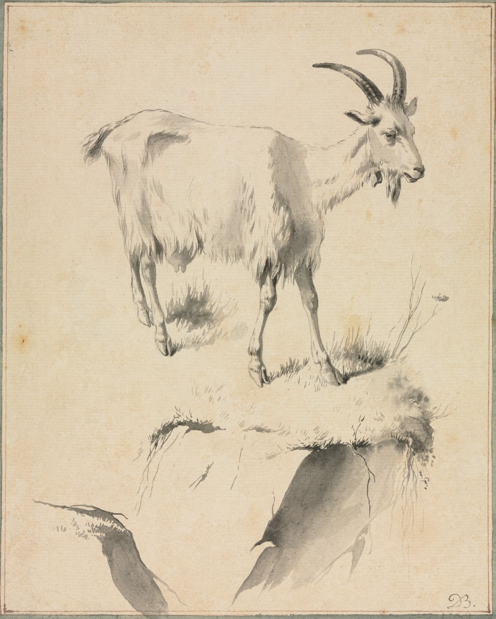 Studie o koze, 1700. od Jean Jacques de Boissieu