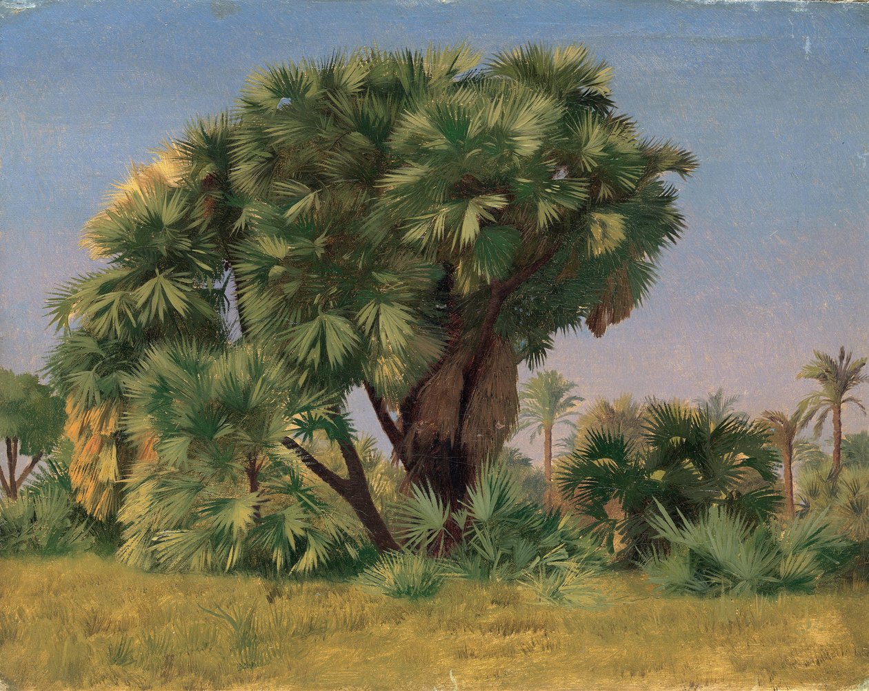 Studium palem od Jean Leon Gerome