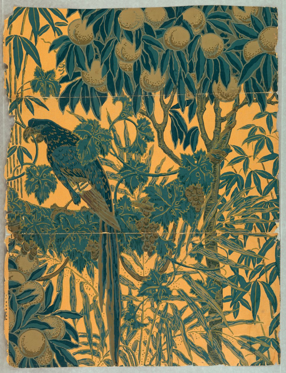 Boční stěna, papoušek, 1908 od Jeffrey
