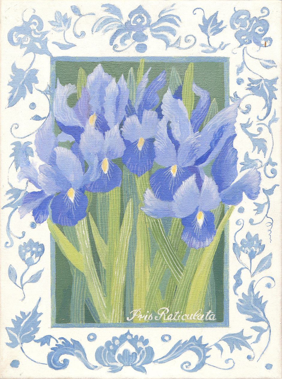 Blue Iris (akryl) od Jennifer Abbott