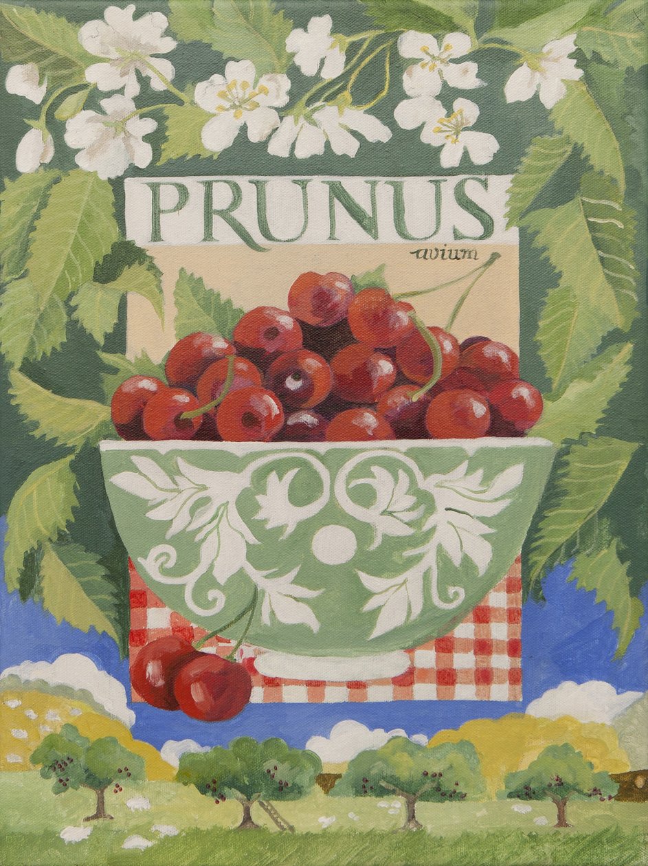 Prunus avium (akryl) od Jennifer Abbott