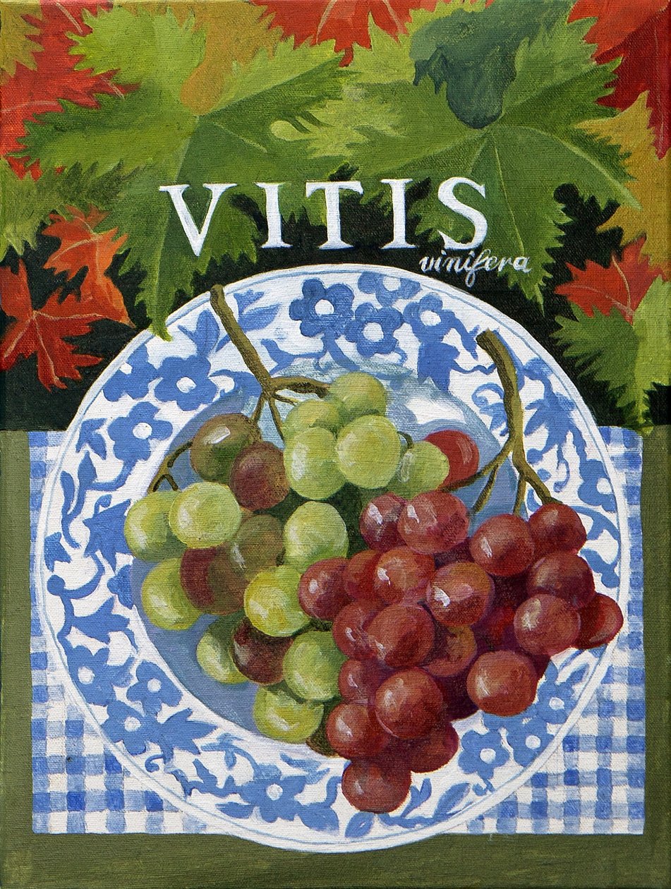 Vitus (hrozny), 2014 (akryl na plátně) od Jennifer Abbott