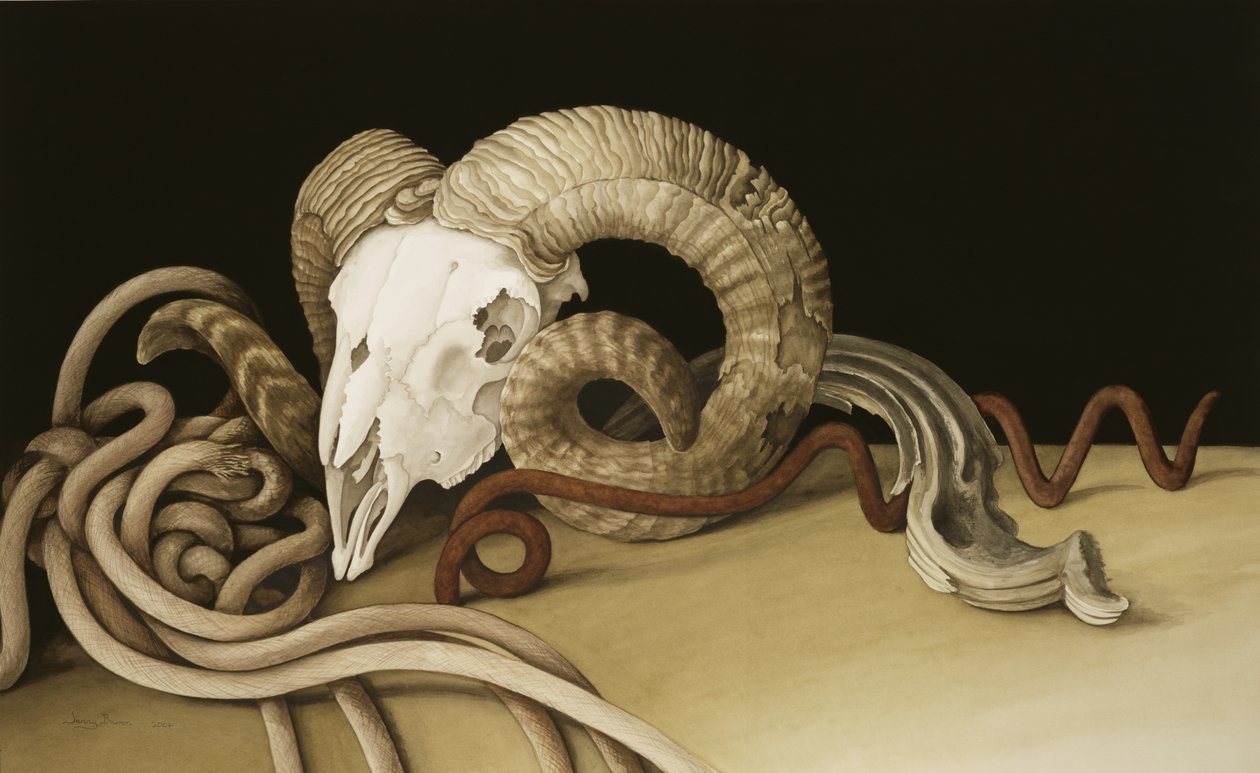 Vanitas, 2004 (wc na papíře) od Jenny Barron