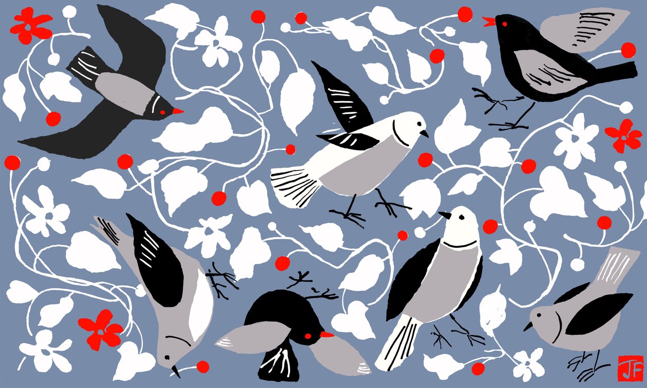 Birdy od Jenny Frean