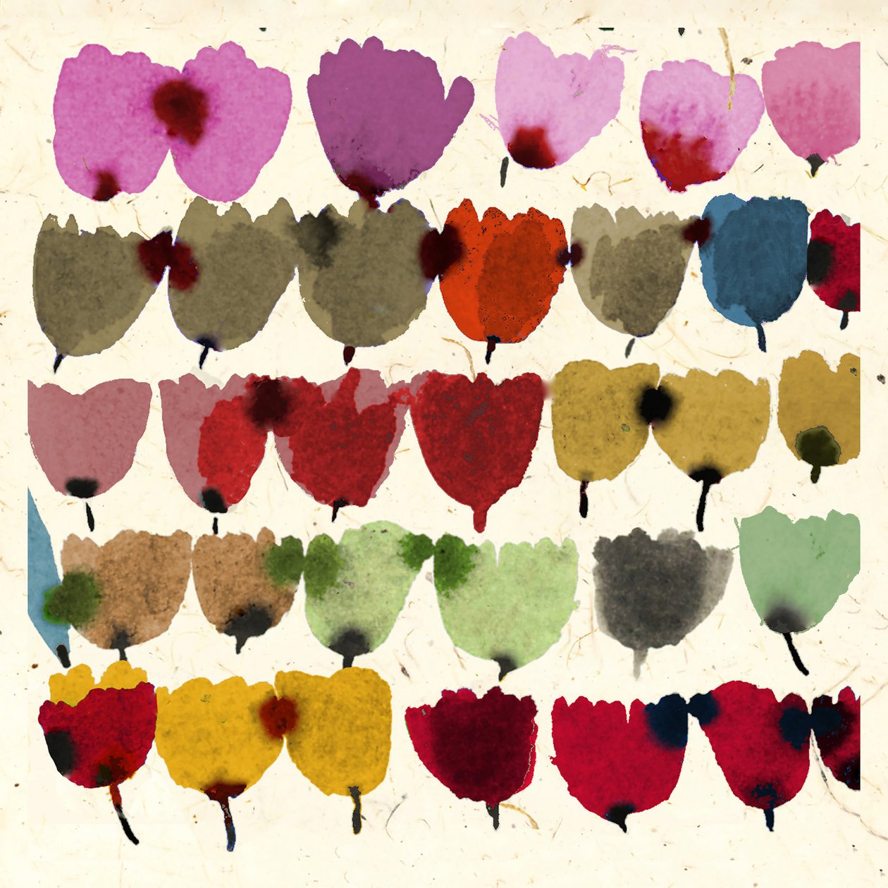 INKOUSTOVÉ TULIPÁNY od Jenny Frean