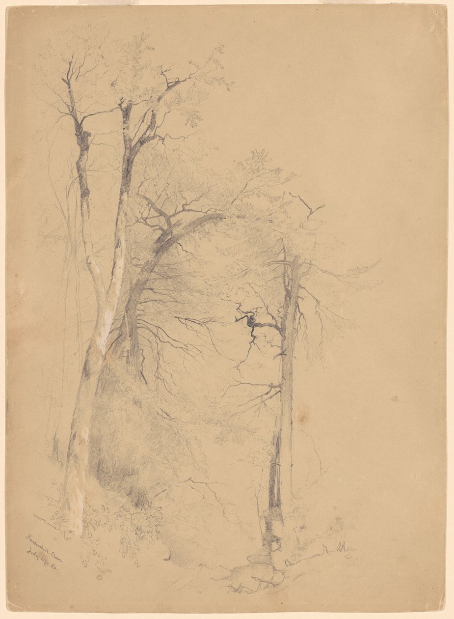 Kaaterskill hřebíček od Jervis McEntee