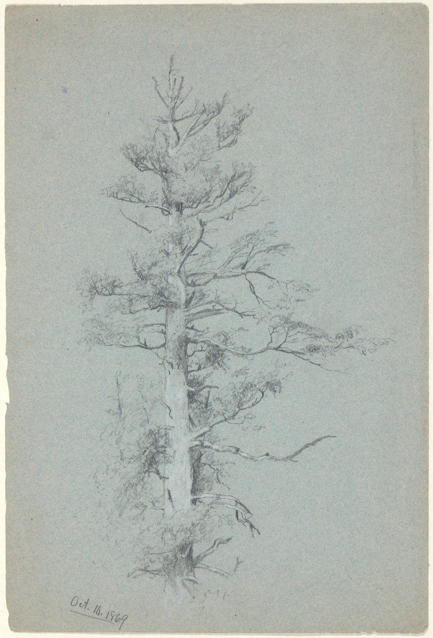 Stromová studie od Jervis McEntee