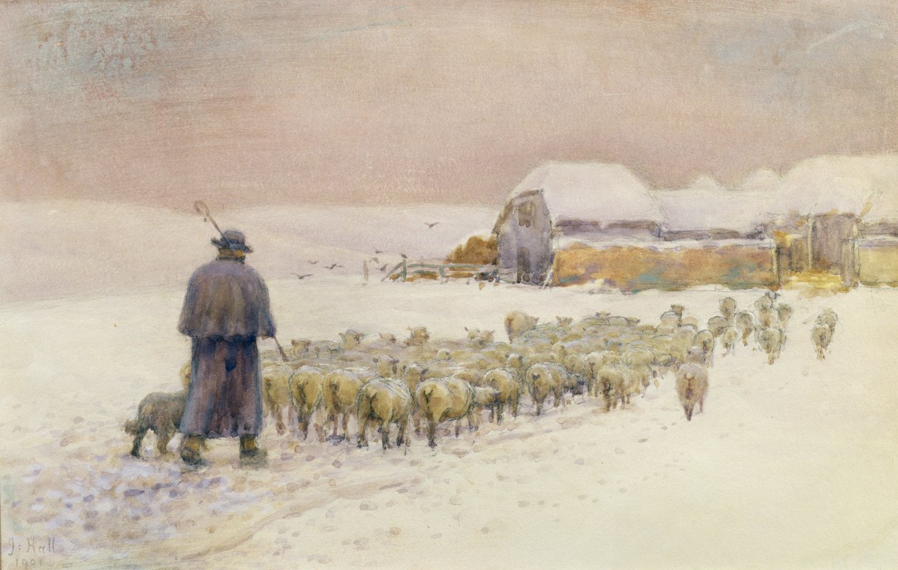 Bringing in the Flock, 1901 od Jessie Hall