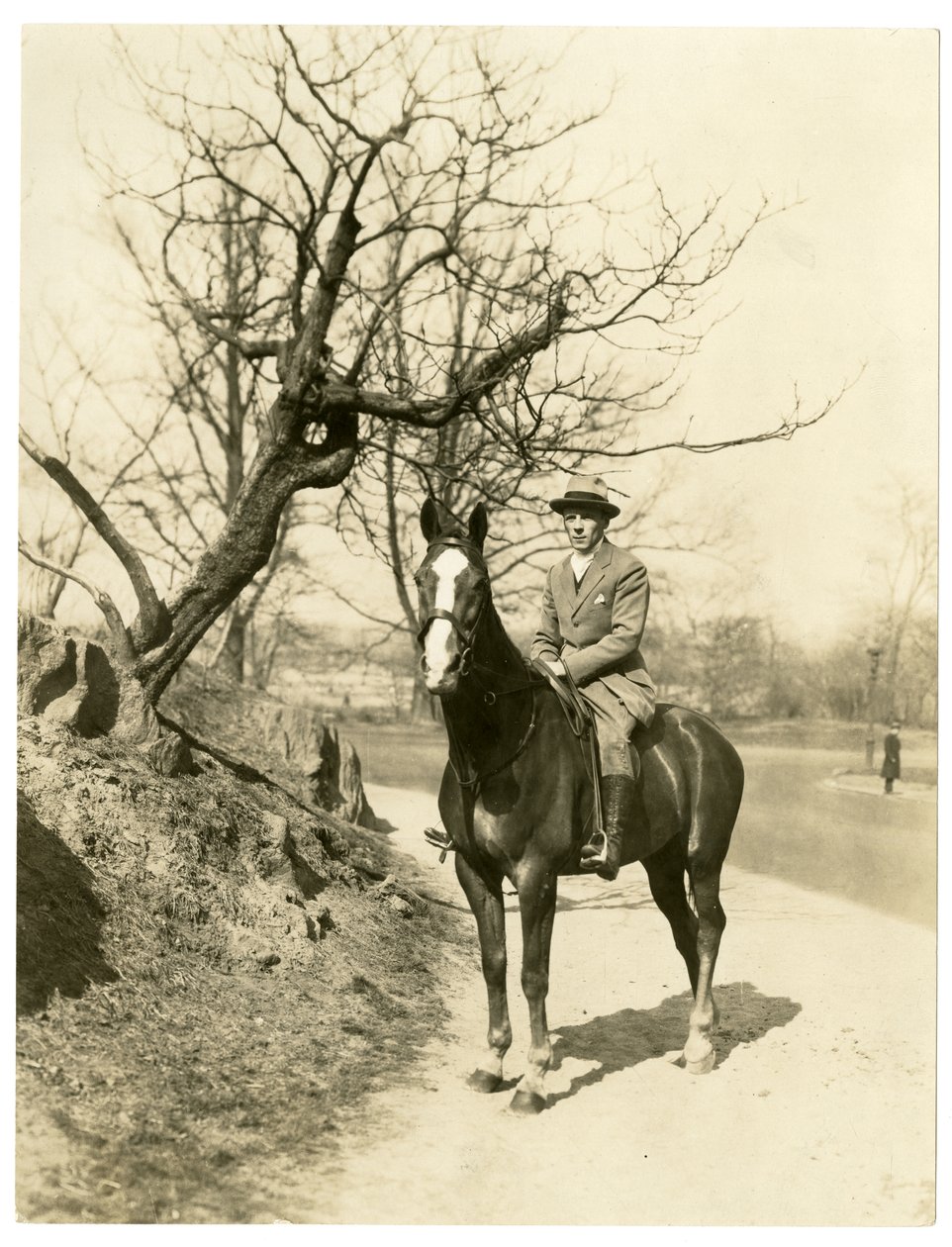 Roland Young, kolem 1905-27 (želatinová stříbrná fotografie) od Jessie Tarbox Beals