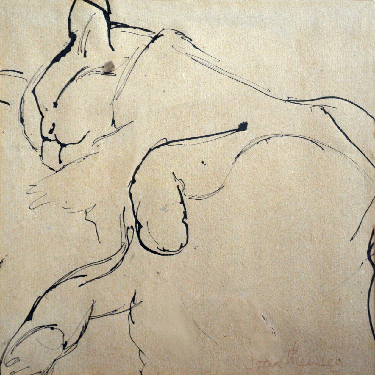 Kočka, myš, 1980, (pero a inkoust) od Joan Thewsey