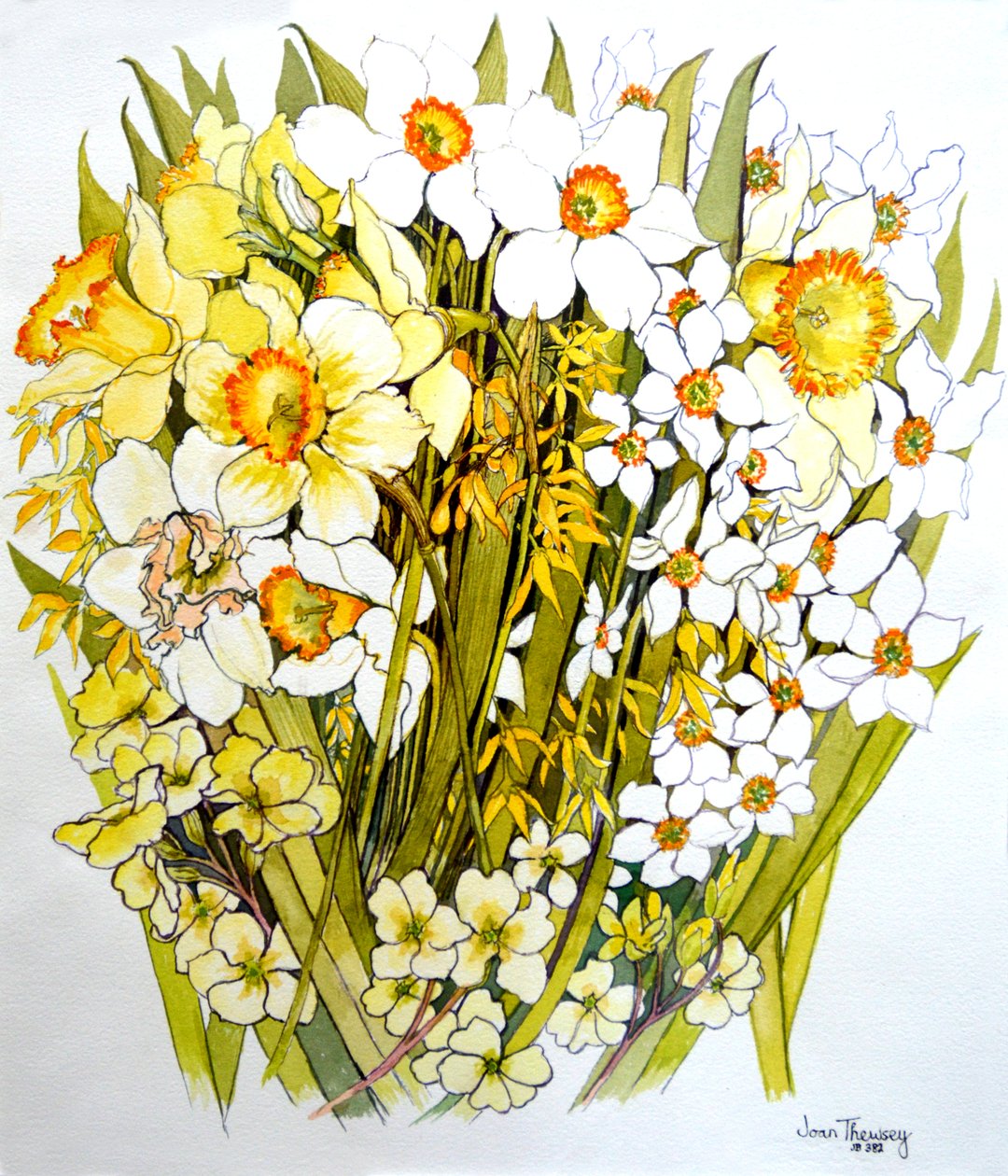 Narcisy, narcisy, forzýtie a primulky, 2000 od Joan Thewsey