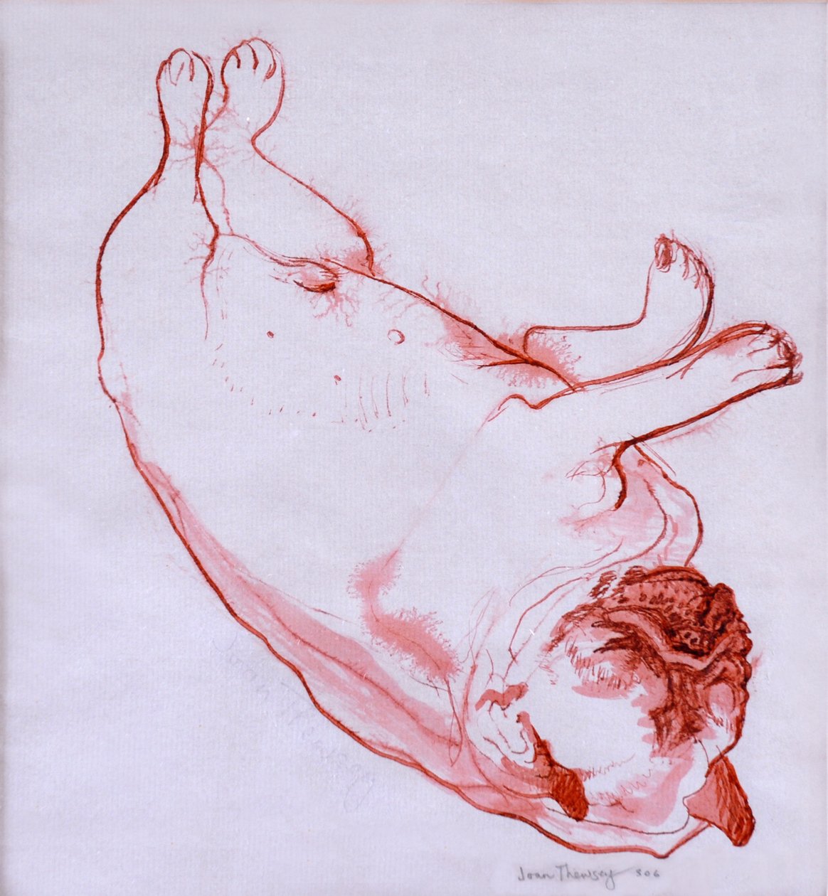 Hogarth spí, 2005, (tuš na mokrém papíře) od Joan Thewsey