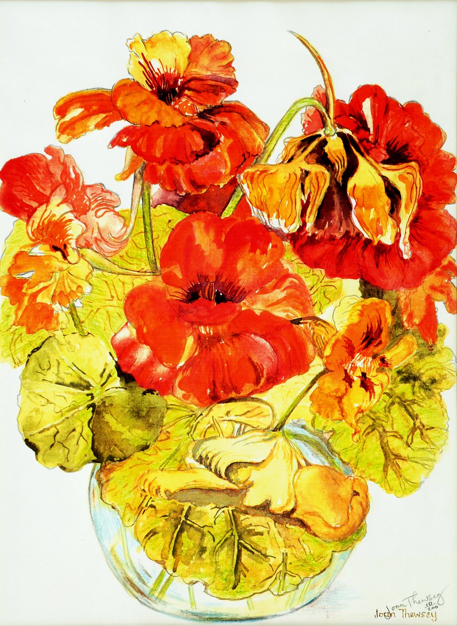 Nasturtiums, 2005, (vodová barva) od Joan Thewsey