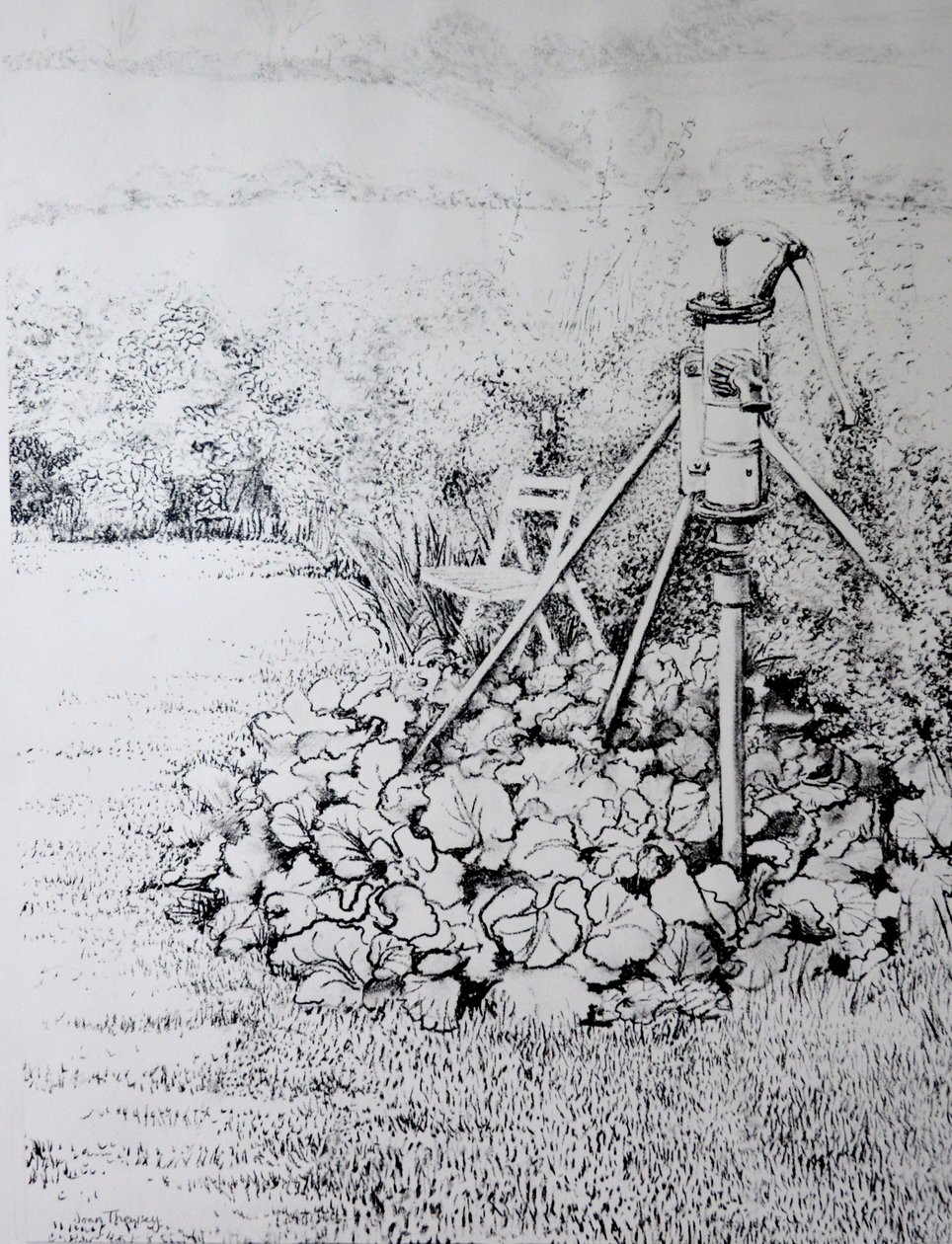 The Garden Pump, 1973 (uhlí) od Joan Thewsey