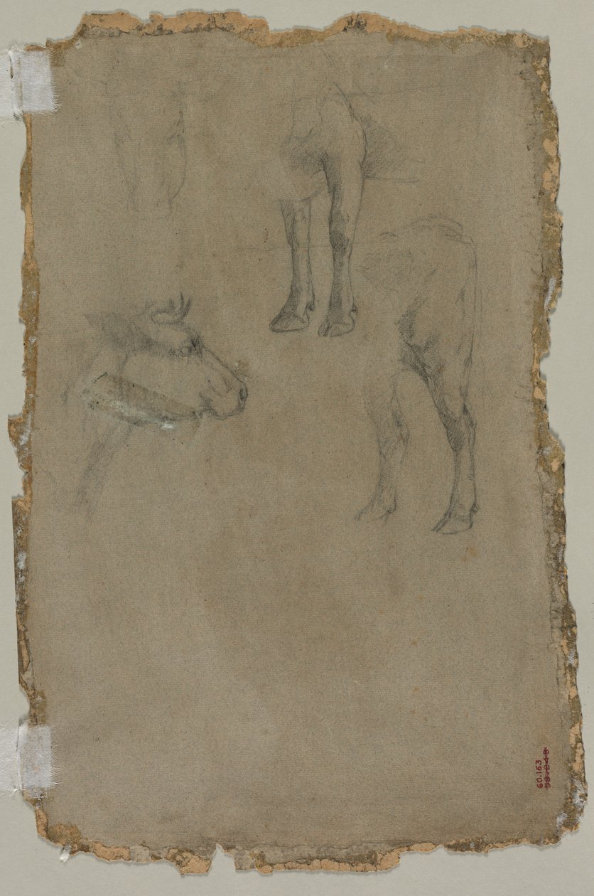 Studie býka, 1864. od Johan Barthold Jongkind