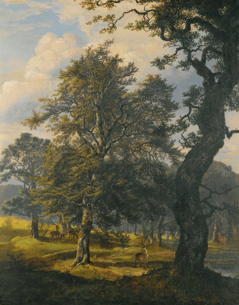 Dyrehaven u Kodaně od Johan Christian Dahl