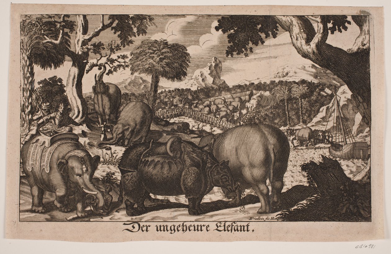 "Obrovský slon" od Johan Friedlein