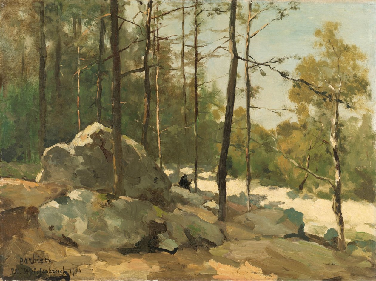 Wooded View poblíž Barbizon Výhled na les poblíž Barbizonu od Johan Hendrik Weissenbruch