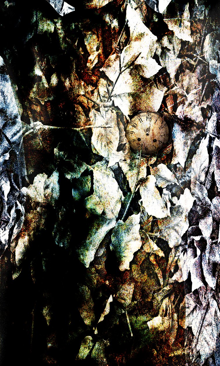 Srdce, 2012 (manipulace s fotografiemi) od Johan Lilja