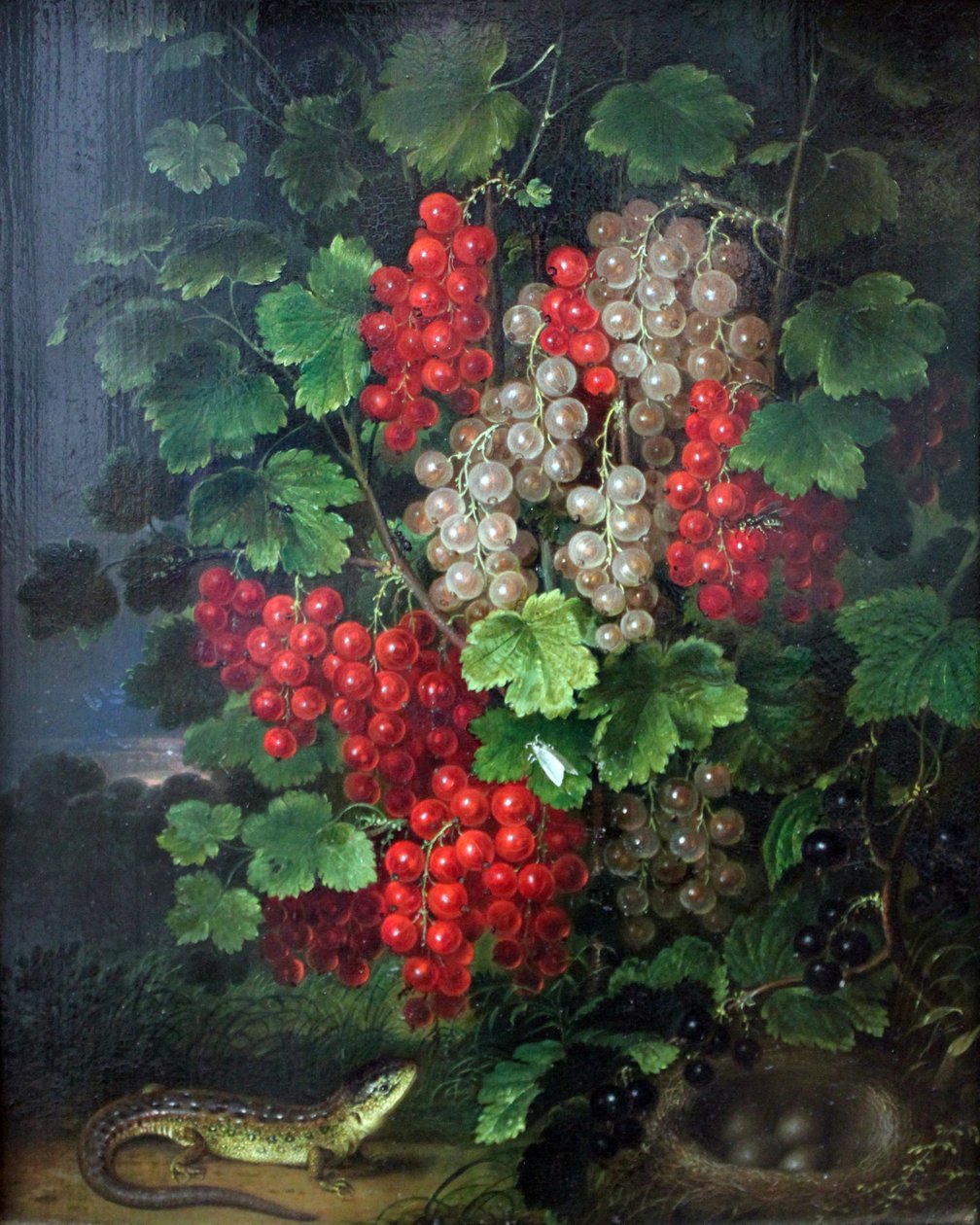 Červený rybíz od Johann Adam Schlesinger