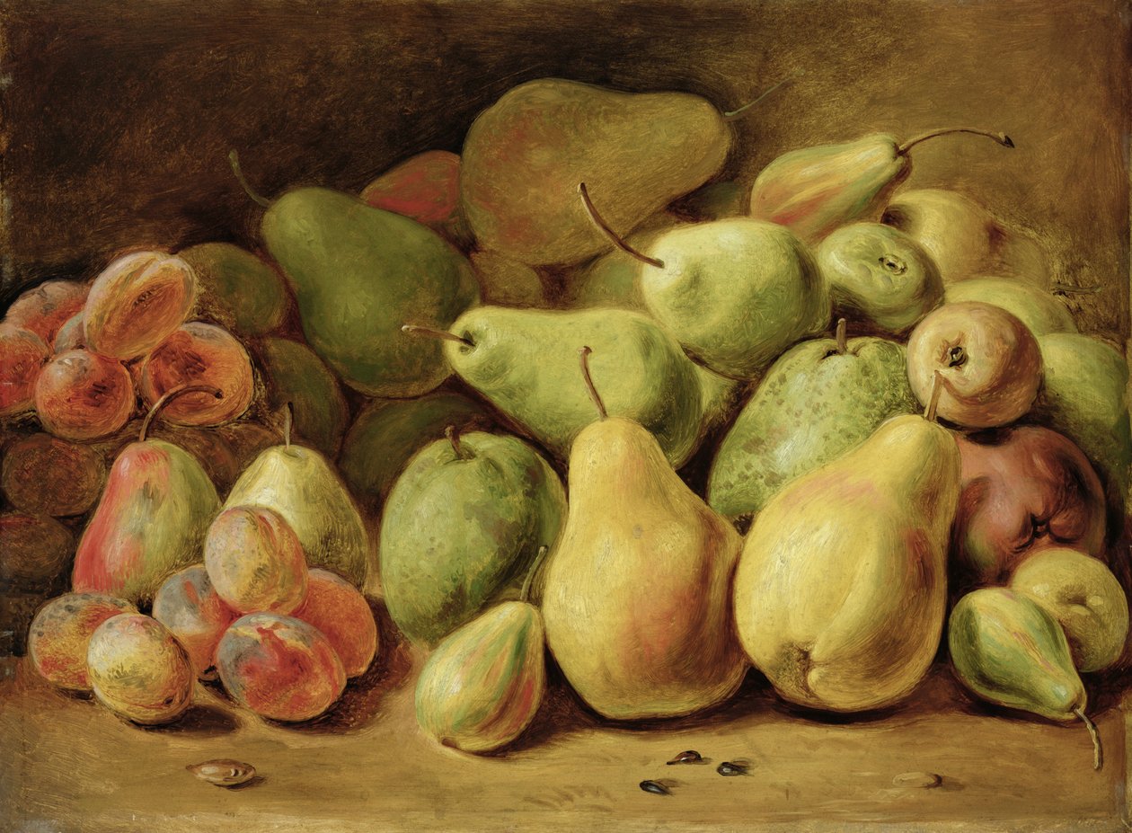 Ovocné Zátiší od Johann Friedrich August Tischbein