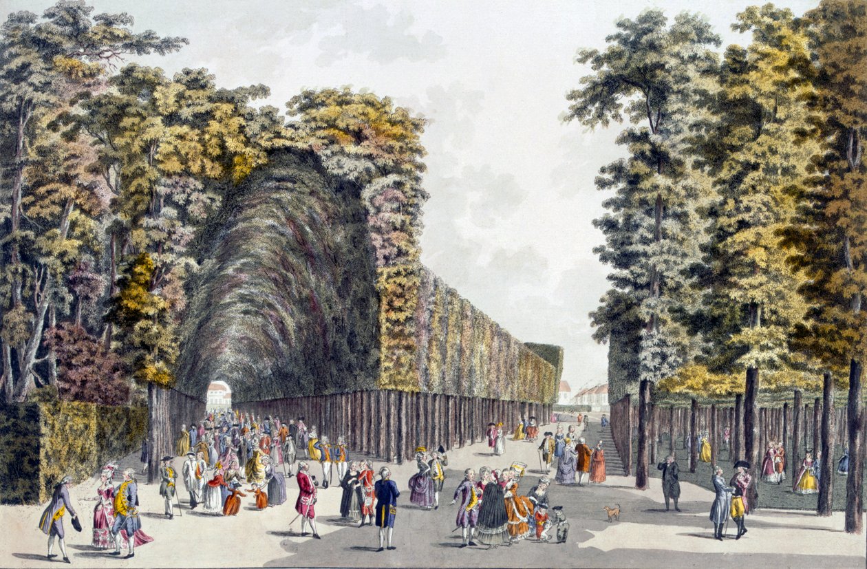 Limegrove Walk, Augarten, Vídeň, 90. léta 18. století od Johann Ziegler