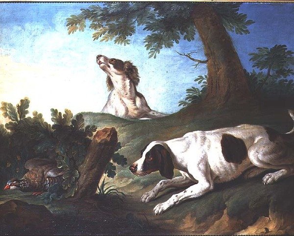 Španělé staví koroptev od Johann Michael Baader