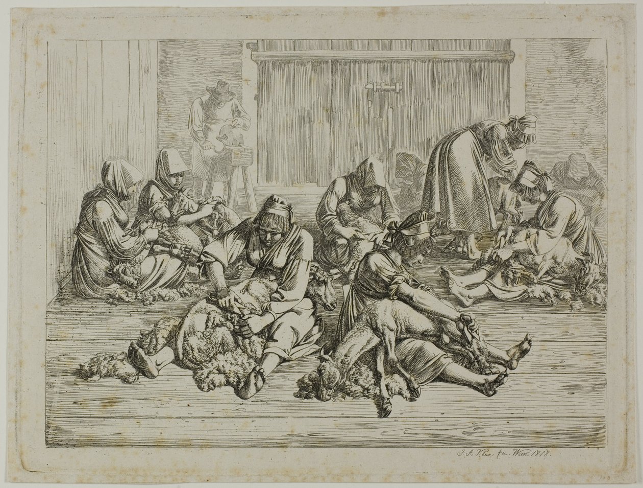 Střih ovcí od Johann Adam Klein