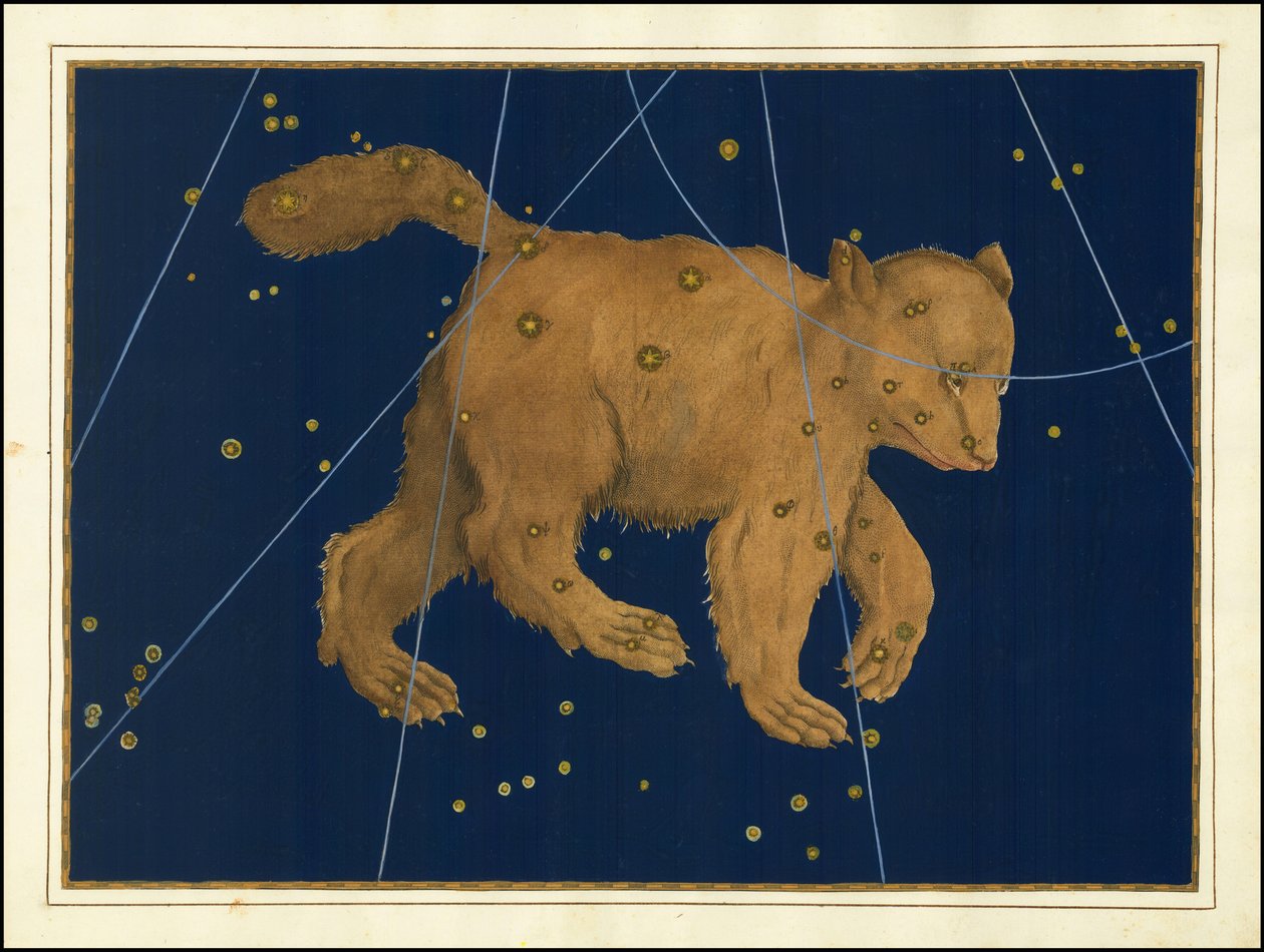 Johann Bayer, Ursa Major od Johann Bayer