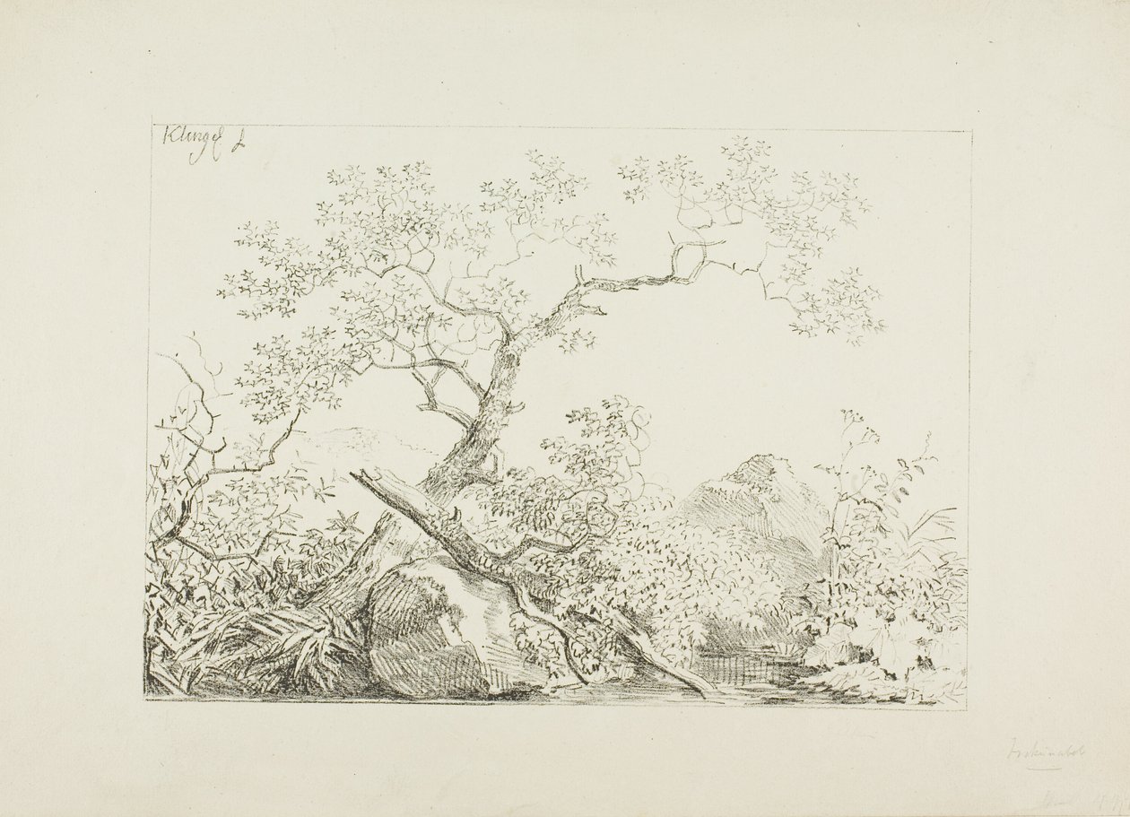 Stromy a skály u vody od Johann Christian Klengel